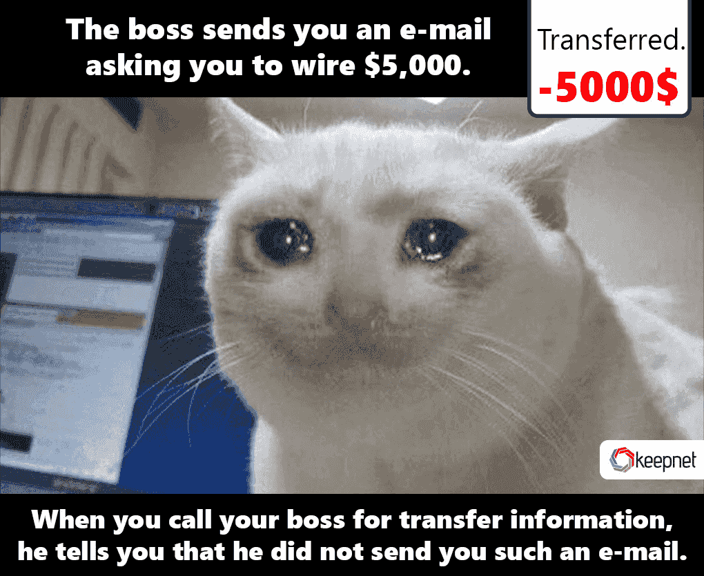A sample funny phishing meme example. .png