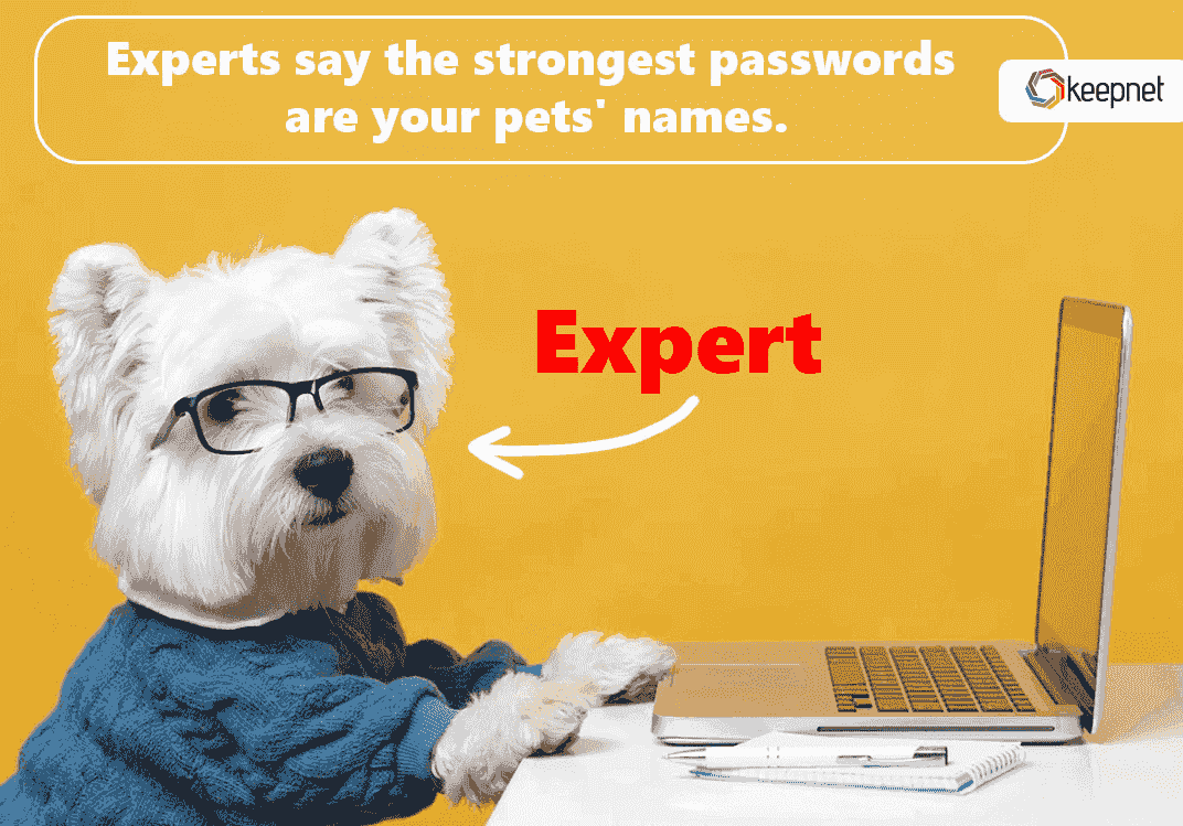 A_sample_training_example_that_mimics_the_experts_in_a_funny_way_3a47c0e85a.png