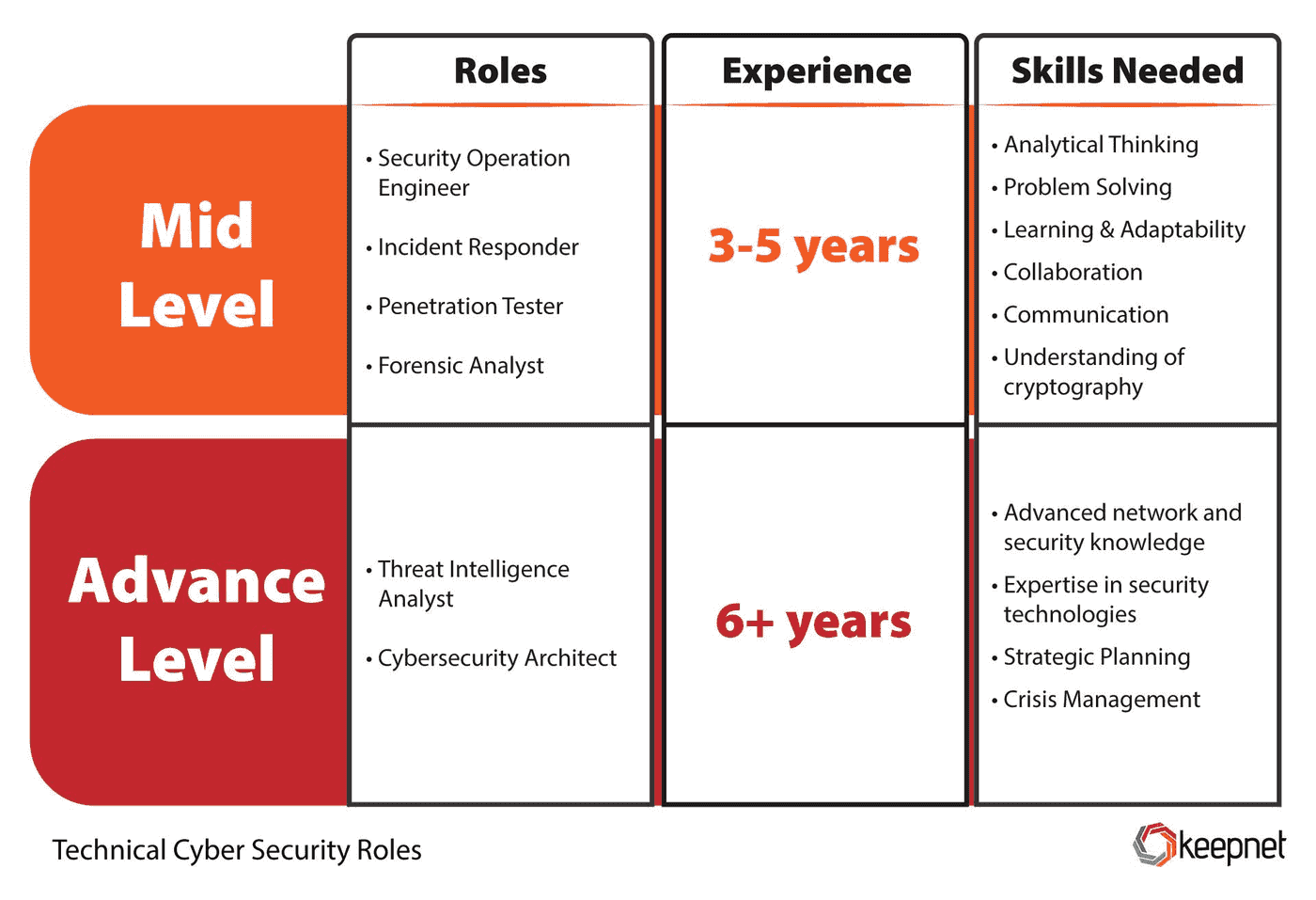 Mid and Advance Level Technical Cyber Security Roles .jpeg