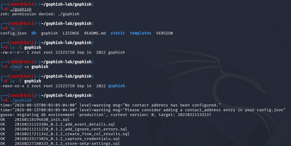 Terminal showing the permission denied error and the chmod command that makes the GoPhish binary executable